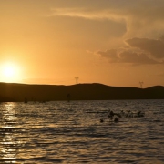 فرصت سرمایه گذاری الیگودرز