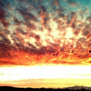 گردشگری الیگودرز