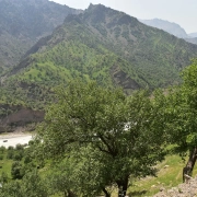 مکان های دیدنی الیگودرز